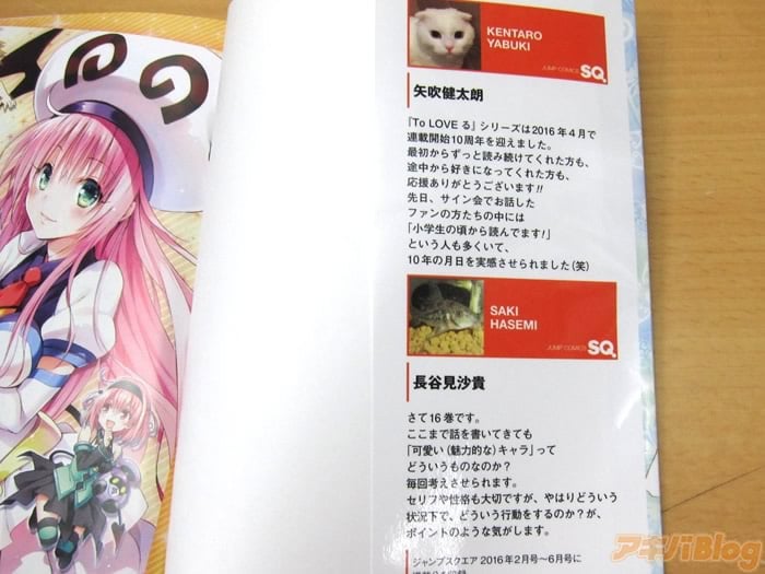 To LOVEる ダークネス コンビニ 全巻 16巻