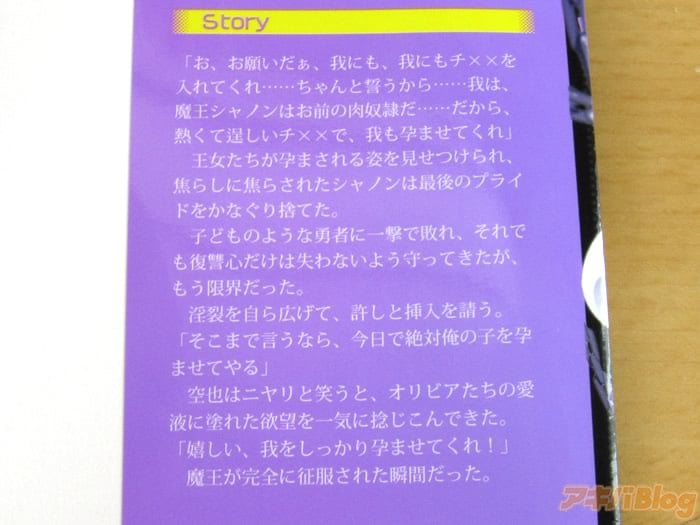 画像]:「鬼畜勇者に転生して征服子づくり！ 魔王も王女も好き放題」カバー折り返し